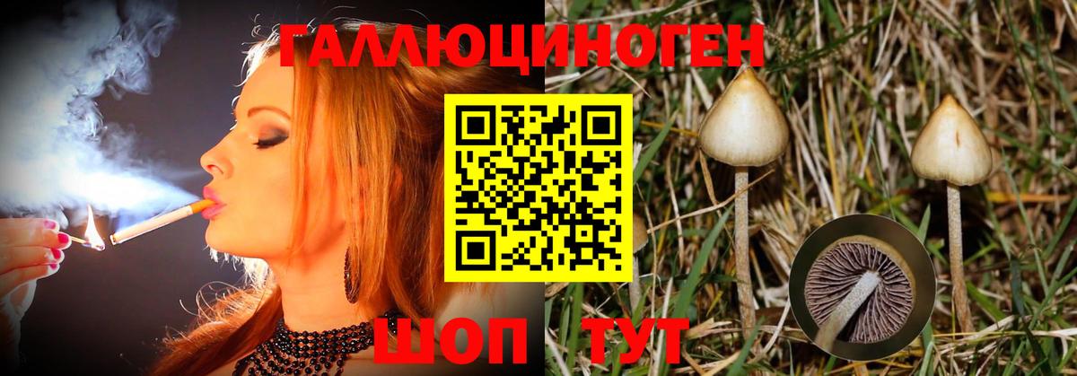 Галлюциногенные грибы мицелий  Вход с VPN  Старая Купавна 